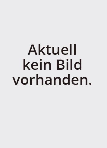 Michael Groiss, Spezialist für Kaminsanierung und Kaminneubau