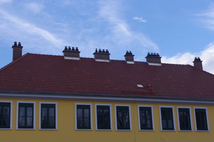 BLT Wieselburg - AHRENS Schornsteinsauger