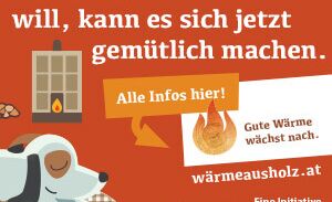 Sicherheit beim Heizen – ein Fall für AHRENS